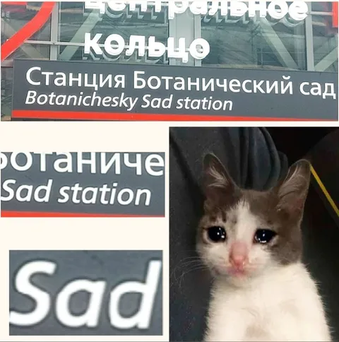 Ботанический сад — это Sad