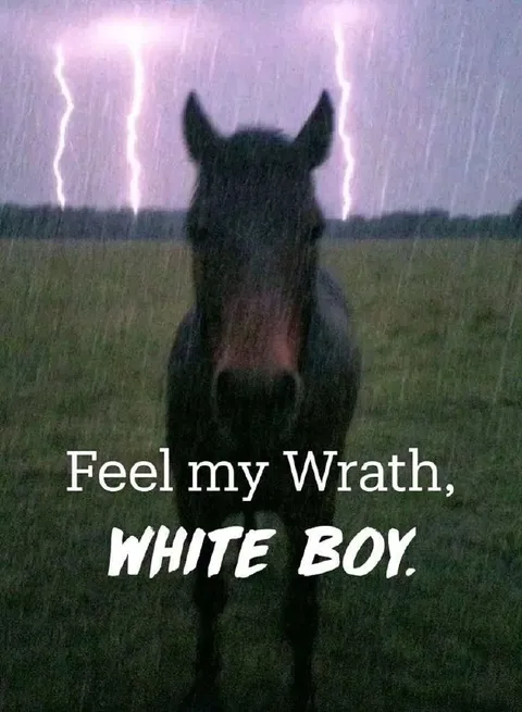 Feel My Wrath White Boy