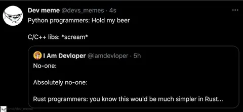 Rust Programmers Simplify Everything