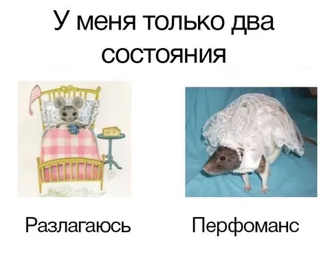 У меня только два состояния
