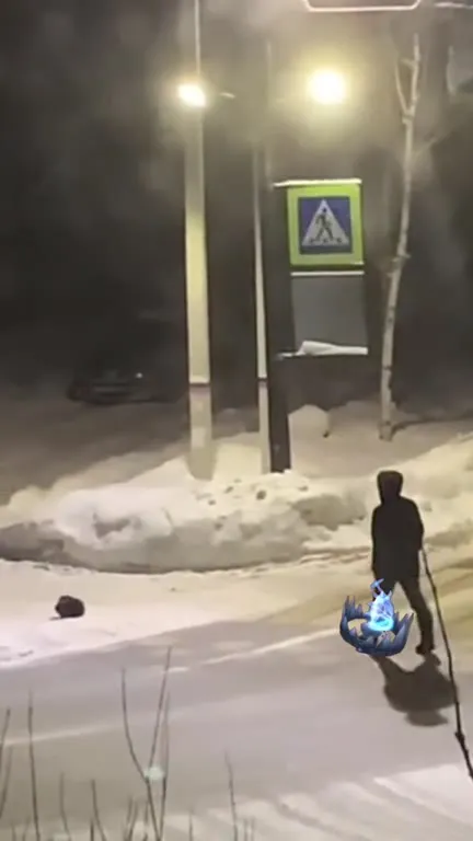 Мужчина выгуливает странного питомца
