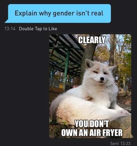 Clearly You Don’t Own an Air Fryer