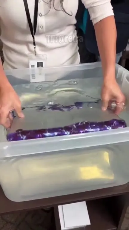 Hydro Dipping My MacBook Pro