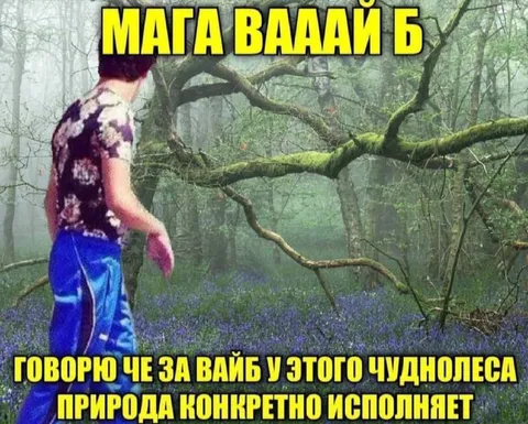 Чуднолес исполняет вайб