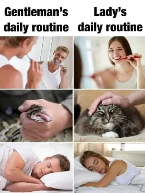 Gentleman's and Lady's Daily Routine