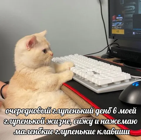 Глупенький день за клавиатурой