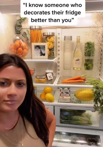 Fridge Decorated Better Than You