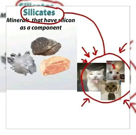 Silicates and Confused Cats