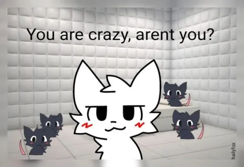 You Are Crazy Aren't You