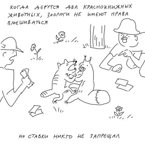 Ставки на драку краснокнижных животных