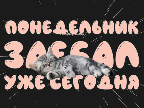 Понедельник заебал уже сегодня