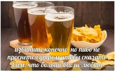 Пиво не разлюбит утром