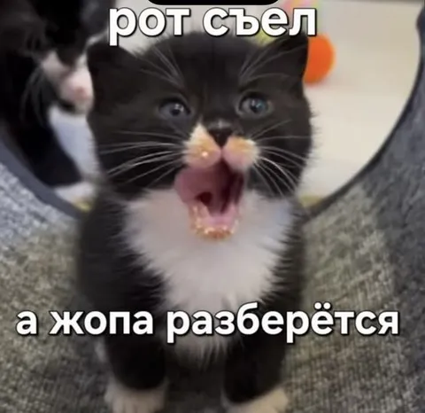 Рот съел, а жопа разберётся