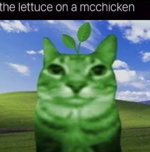 Lettuce on a McChicken