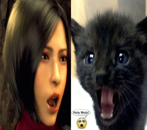 Holy Moly Shocked Cat