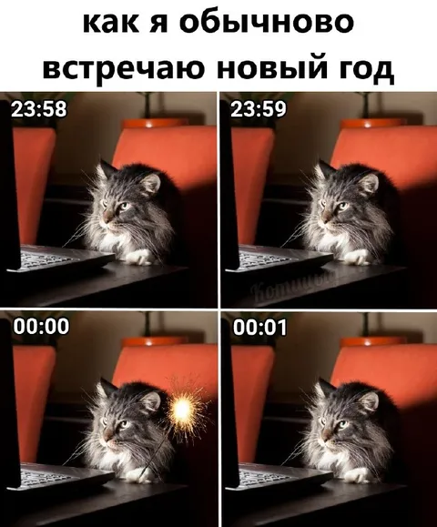 Кот встречает Новый год