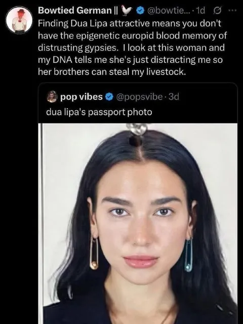 Dua Lipa Passport Photo Joke