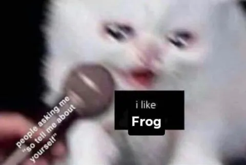 I Like Frog Cat Interview