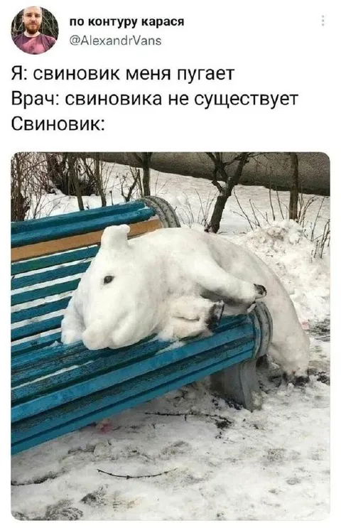 Свинoвик пугает