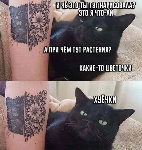 Кот и цветочный татуаж