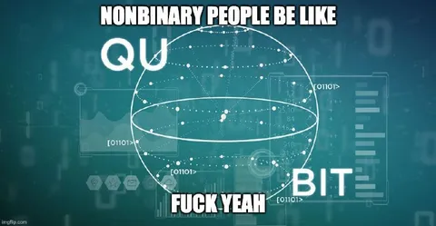 Nonbinary People Be Like Qubit
