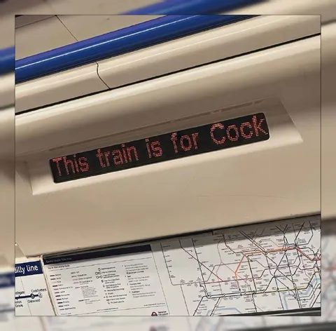 This Train Is for Cock