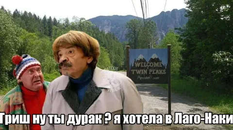 Гриш, ну ты дурак?