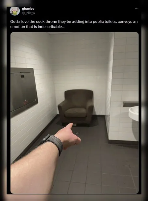 Public Toilet Cuck Throne