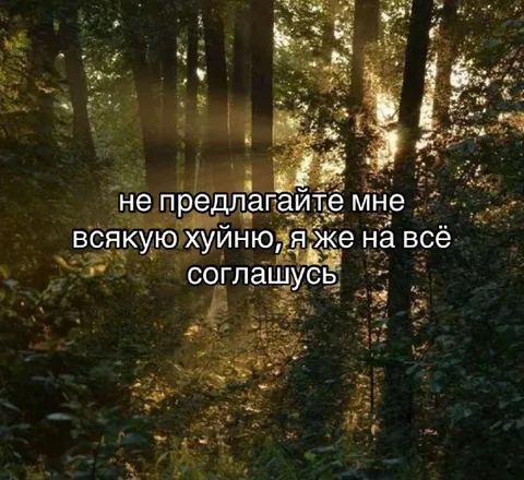 Я соглашусь на всё