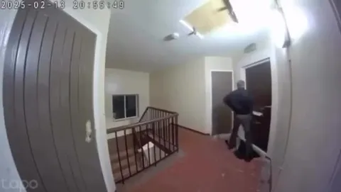 Незваный гость получает отпор