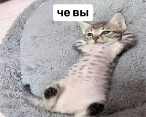 Че вы на меня смотрите
