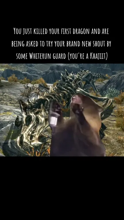 Whiterun Guard Wants a Shout
