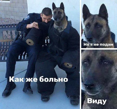 Но я не подам виду