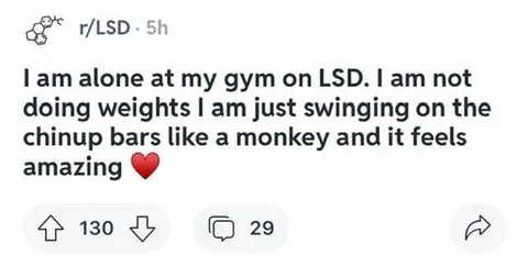 LSD Gym Monkey Swinging