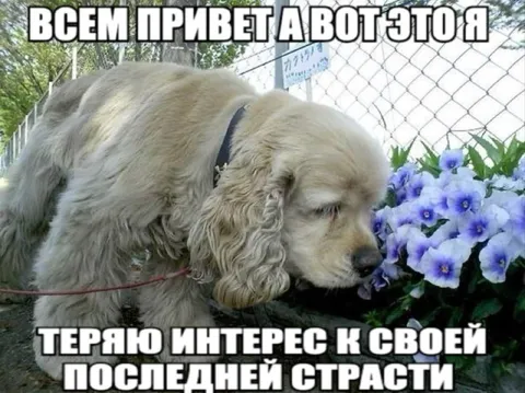 Теряю интерес к своей страсти