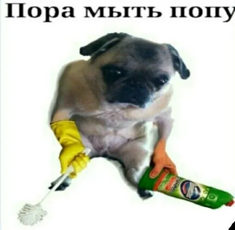 Пора мыть попу