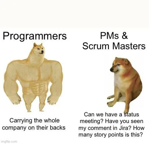 Programmers vs Scrum Masters