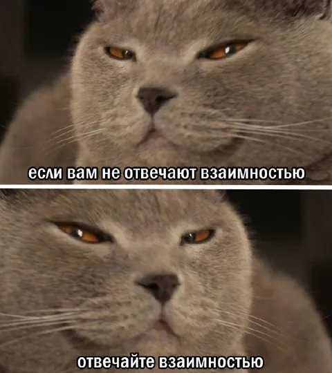 Отвечайте взаимностью