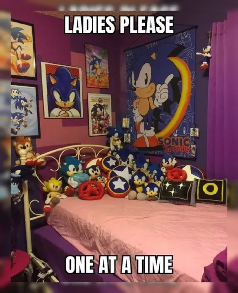 Sonic Ladies Please
