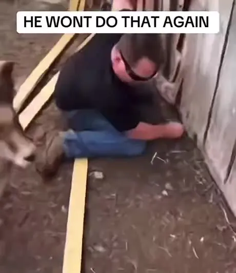 He Won’t Do That Again