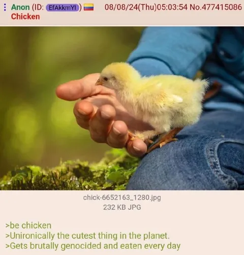 The Cutest Chicken Gets Eaten