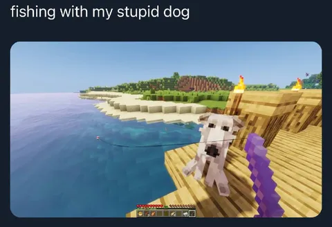 Fishing With My Stupid Dog