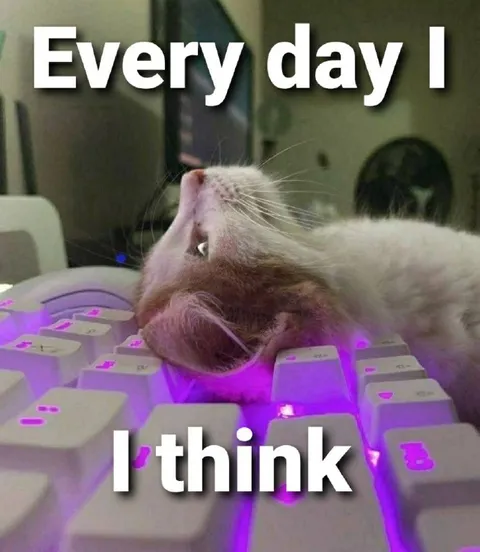 Every Day I Think Cat