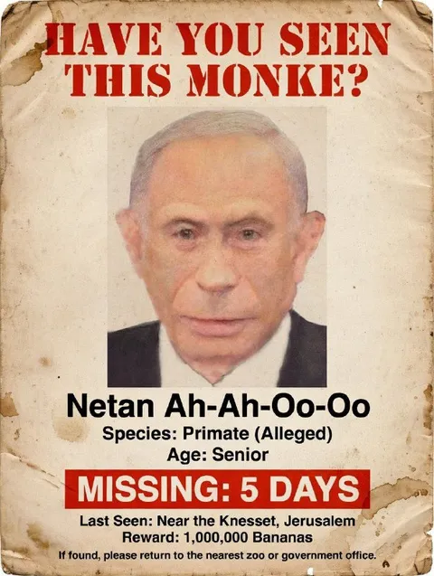 Have You Seen This Monke?