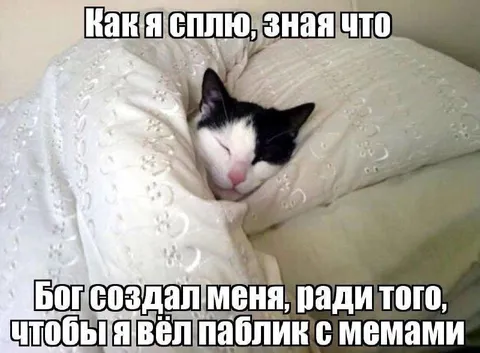 Бог создал меня для мемов