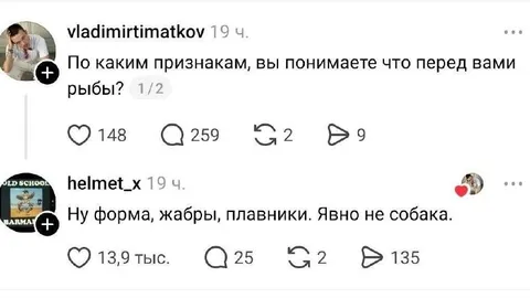 Явно не собака