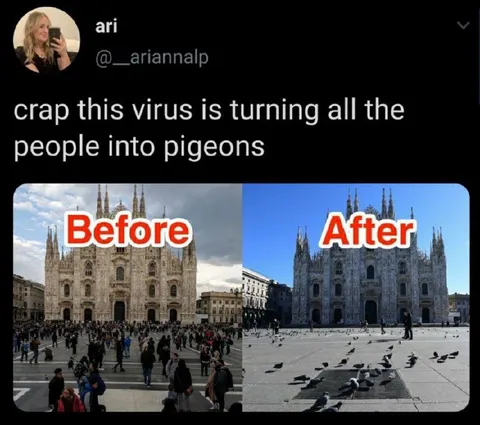 Virus Turns People Into Pigeons