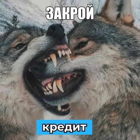 Закрой кредит