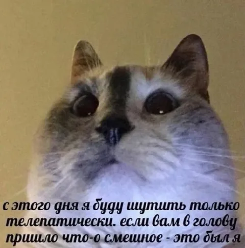 Шутки телепатически