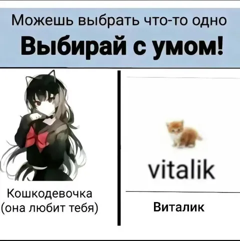 Выбирай с умом: кошкодевочка или Виталик